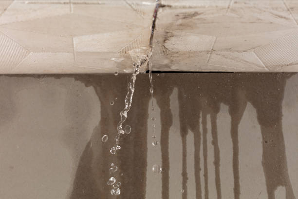 Professional Water Damage Inspection technician working in Somerset, MA